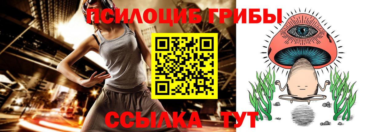 как найти   Псилоцибиновые грибы Magic Shrooms  Вход с VPN  Белебей  Галлюциногенные грибы GOLDEN TEACHER 